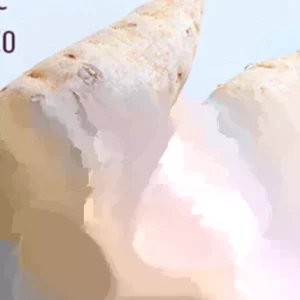 5 Live Purple Okinawa Sweet Potato Plants - Edible Vegetable, Potted, Indoor/Outdoor - Image 5