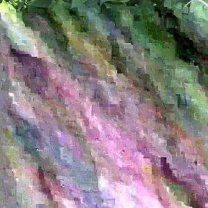 10 Okinawa Purple Sweet Potato Slips - Organic Plant Cuttings - Khoai Lang - Image 3