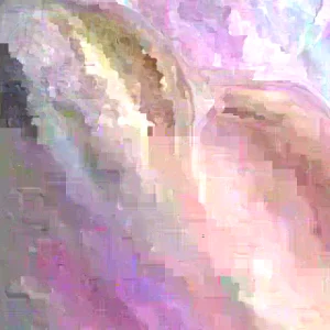 15 Okinawa Purple Sweet Potato Slips - Organic Cuttings for Planting - Image 2