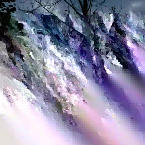 Hybrid Poplar Tree Cuttings - Set of 12 Unrooted Populus x canadensis - Image 1