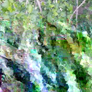 Jostaberry Orus 8 Live Plant - Gooseberry Black Currant Bush 12+ Inches Tall - Image 2