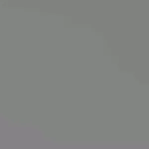 White Wedding Cake Spirea Cuttings - Set of 10 Unrooted, 6-8 Inches Tall, Outdoor Bush - Image 1