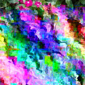 Vinca Hotlik Purple Eye Seeds - 500 Count Annual Flowering Periwinkle - Image 1