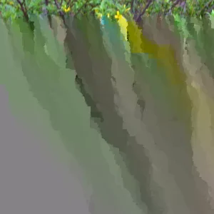 Forsythia Bush Unrooted Cuttings - Set of 12, 6-8 Inches Tall, Outdoor Shrubs - Image 3