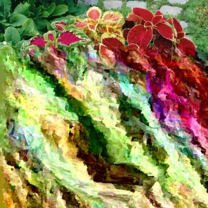 Coleus Jazz Combo Mix Seeds - 100 Seeds, Green & Purple, Indoor/Outdoor - Image 1