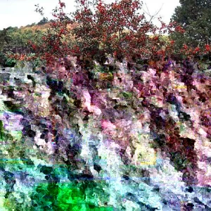 Deciduous Holly Live Plant - Ilex decidua Shrub - 16+ Inches Tall - Set of 2 - Image 2