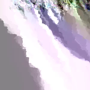 Yellow Buckeye Live Plant – Aesculus flava – 16+ Inches Tall – Bare Root Tree – Outdoor - Image 2