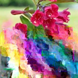 Java Red Weigela Live Plant - 4 Inch Pot - Weigela florida 'Java Red' - Outdoor Shrub - Image 2