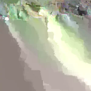 Northern Catalpa Tree Seeds - 50+ Seed Pack for Fast Growing Shade Tree, Outdoor - Image 1