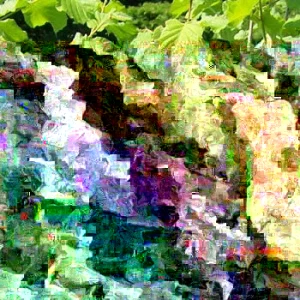 American Hazelnut Tree Seeds (Corylus americana) - 12+ Float Tested Seeds for Planting - Image 1