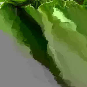 Honeysuckle Vine Live Starter Plant - 6+ Inches, Fragrant Perennial - Image 4