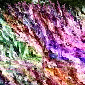 Eastern Redbud Tree (Cercis canadensis) Live Plants 16-24 Inches Tall - Set of 4 - Image 4