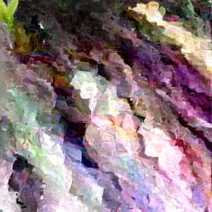 Kleim's Hardy Gardenia Live Plant - 6-10 Inches Tall, Fragrant Evergreen Shrub - Image 2