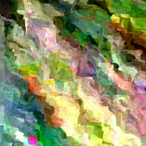 Aurea Potentilla Perennial Seeds – 1000 Yellow Flowering Groundcover Seeds - Image 3