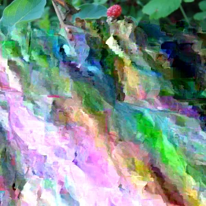 Wild Blackberry Bush Cuttings - 12 Unrooted Rubus allegheniensis | Outdoor - Image 1