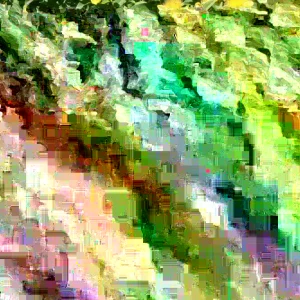 St. John's Wort Hypericum Hidcote Live Plant 12+ Inches Tall Bare Root Perennial - Image 2