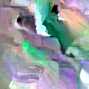 Carolina Buckthorn Live Plant (Frangula caroliniana) - 12-18 Inches Tall, Outdoor - Image 2