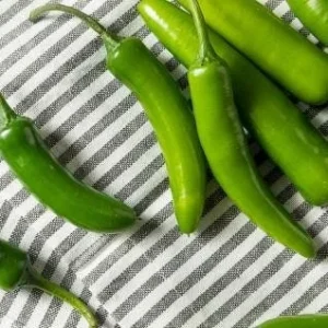 Serrano Pepper Live Plant - 3 inch Pot - Fresh Culinary Herb - Image 1