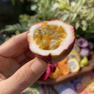 Set of 2 Purple Passionfruit Live Plants - 4-6