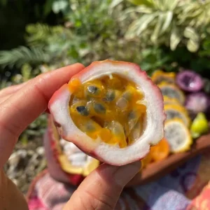 Set of 2 Purple Passionfruit Live Plants - 4-6