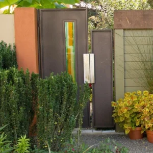 Sky Pencil Holly Live Plant – Evergreen Shrub, 6-12 inch, Quart Pot, Outdoor - Image 6