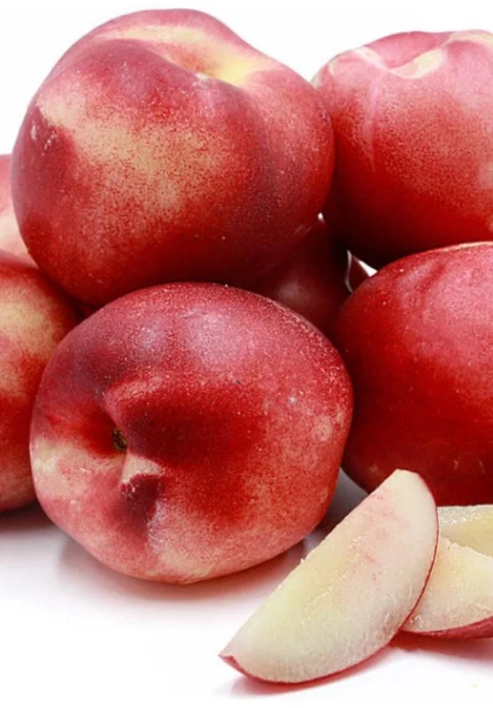 Snow Queen Nectarine Tree – Live Plant – 4 ft Tall – 3 Gallon Pot – Self-Fertile Outdoor - Image 1