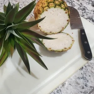 Sugarloaf Pineapple Live Plant Set - 2 Ananas comosus Starters, 4-6