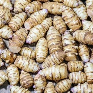 Sunchoke Tubers 4oz - Jerusalem Artichokes - Edible Root Vegetable - Image 4
