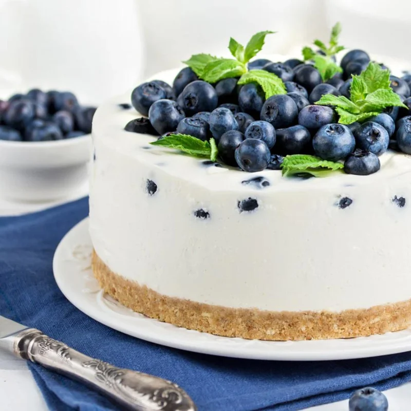 Sunshine Blueberry Live Plant Set (2) - 4-6" Tall Fruit Plant - Pollinator Friendly - Image 6