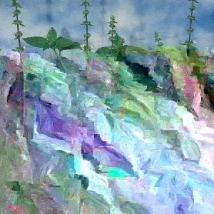 Sweet Dani Basil Seeds - 500 Count, Annual Culinary Herb, Indoor & Outdoor - Image 1