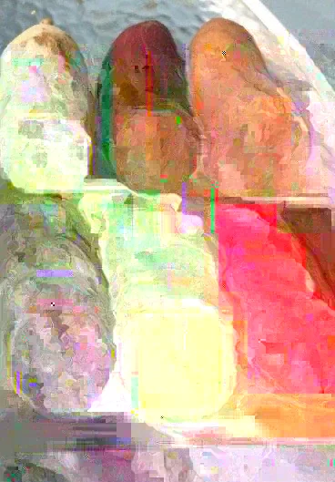 Sweet Potato Slips Variety Pack - Okinawa, Red Japanese, Beauregard - 15 Live Slips - Image 1