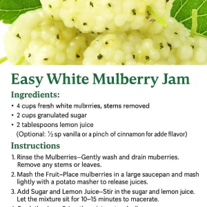 Tartarian Mulberry Trees (2-Pack) - Morus alba tatarica Live Bare Root Plants, 2-3 ft Tall - Image 4