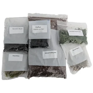 Terrarium Kit - DIY Miniature Garden Supplies - Potting Soil, Moss - Image 1