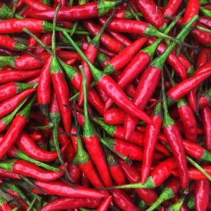 Thai Hot Pepper Seeds - Non-GMO Red Chili Vegetable Seeds for Indoor & Outdoor - Image 1