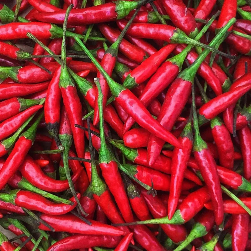 Thai Hot Pepper Seeds - Non-GMO Vegetable Seeds - Fast Growing, Edible - Image 1