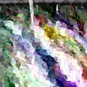 Tiny Tim Micro Dwarf Tomato Seeds - 20 Seeds - Red Tomatoes for Patio & Small Gardens - Image 1