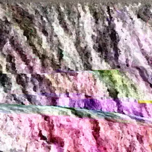 Tulip Tree Live Plant - Liriodendron Tulipifera - Up to 2 ft Tall - Outdoor Deciduous - Image 4