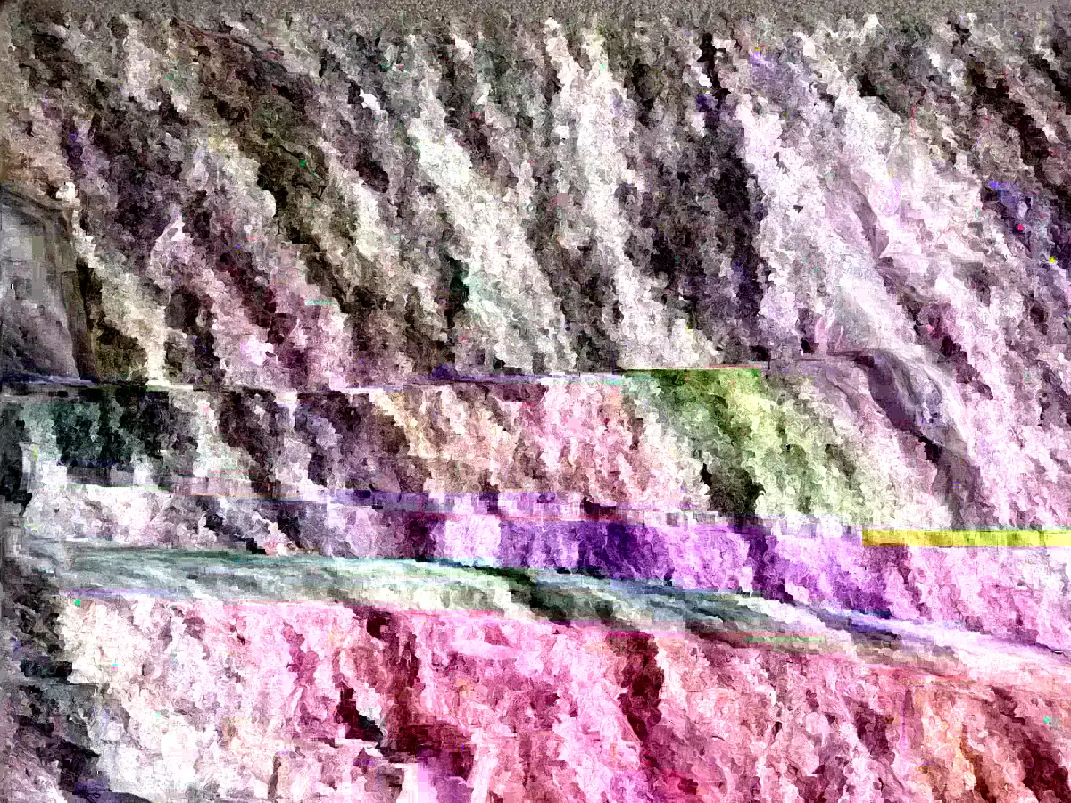 Tulip Tree Live Plant - Liriodendron Tulipifera - Up to 2 ft Tall - Outdoor Deciduous - Image 4