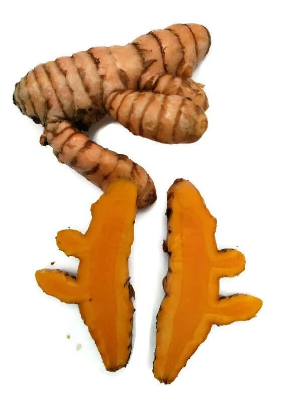 Turmeric Variety Pack - 1 Red, 1 Orange, 1 White Mother Rhizome - 3 Live Rhizomes - Image 8