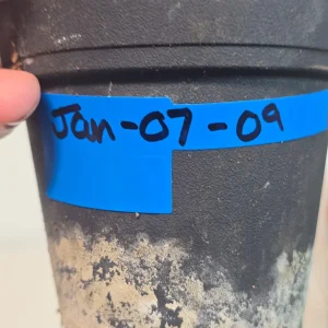 Variegated Philodendron Strawberry Shake Live Plant - Rare Pink Aroid Houseplant - Image 5