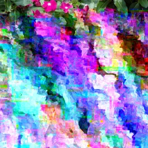 Vinca Hotlik Purple Eye Seeds - 500 Count Annual Flowering Periwinkle - Image 2