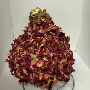 Waxed Amaryllis Bulb 28/32 - Easy Care Indoor Blooming Flower Bulb - Image 3