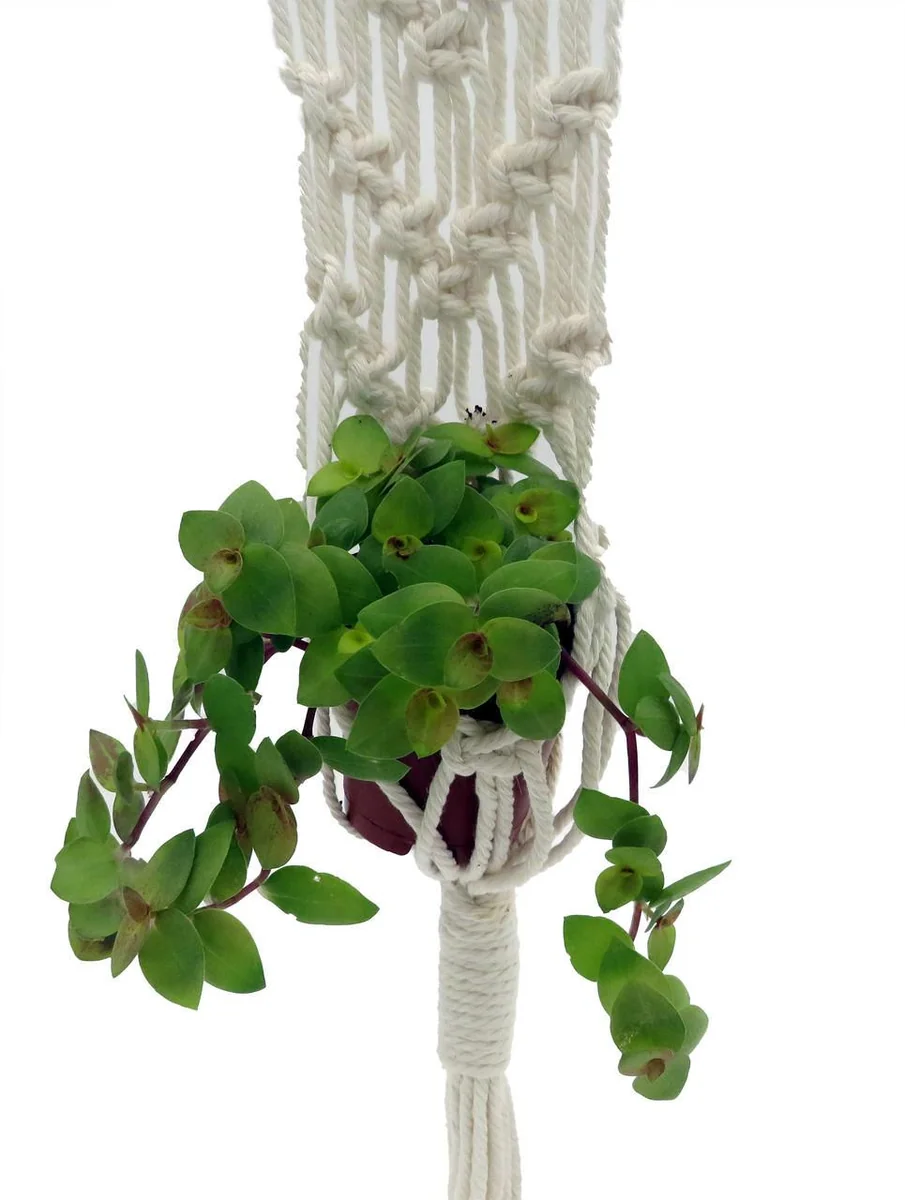 White Macrame Plant Hanger - 16-22" Length, Fits 2-3" Pot, Indoor Decor - Image 3