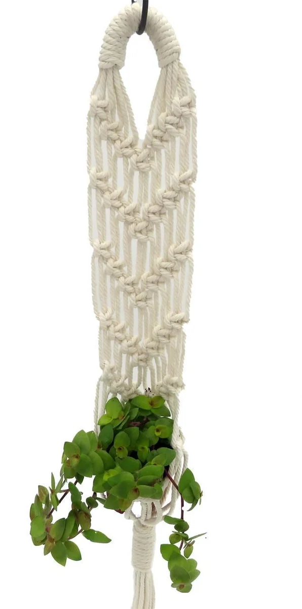 White Macrame Plant Hanger - 16-22" Length, Fits 2-3" Pot, Indoor Decor - Image 4
