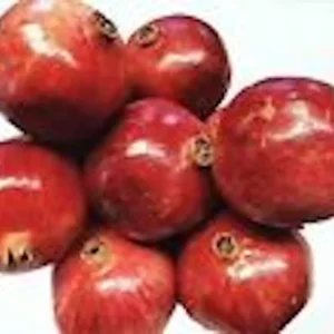 Wonderful Pomegranate Fruit Tree Live Plant - Edible Punica Granatum - Image 4