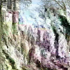 Yellow Twig Dogwood Live Plant – 16+ Inches Tall Bare Root Shrub - Image 3