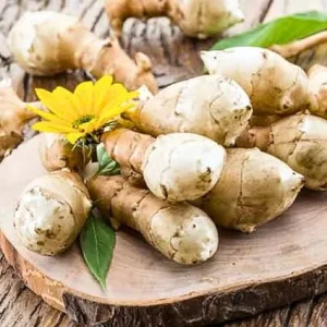 10 Jerusalem Artichoke Tubers - Sunchokes for Planting, Hardy Perennial Vegetable Roots, Large Size, Outdoor - Image 4