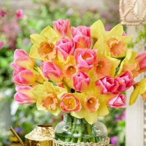 10 Tulip & Daffodil Flower Bulbs Mix - Colorful Early Spring Blooms - Image 5