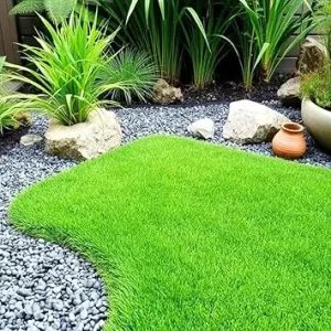 10000 Zoysia Grass Seeds - Drought & Heat Tolerant Lawngrass - USDA Zones 6-11 - Image 3