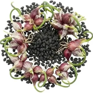 200 Walking Onion Seeds - Cold Hardy Perennial, Fast-Growing, High Yield - Image 2